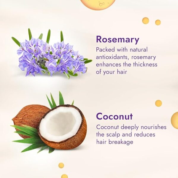 Parachute Advansed Rosemary Enriched Coconut Hair Oil - Image 6
